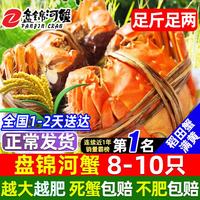 盘锦河蟹 网兜蟹特大辽宁盘锦河蟹稻田河蟹礼盒鲜活中秋大闸蟹 全母蟹1.0-1.2两25-30只 1.2-0.9两  *16只（尝鲜款）