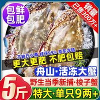 Qingjue 清爵 舟山特大梭子蟹 9两以上 5斤