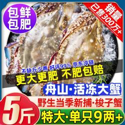 Qingjue 清爵 舟山特大梭子蟹 9两以上 5斤