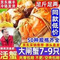 网兜蟹阳澄雨大闸蟹现货鲜活大螃蟹公母蟹河蟹中秋节礼盒 六月黄丨1.2-1.5两7-9只（去绳净重）