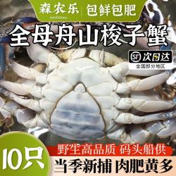 森农乐 梭子蟹鲜活特大舟山母蟹野生大螃蟹冷冻生鲜海鲜新鲜海蟹飞蟹白蟹 净重3-4两/只