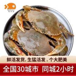 喵和渔 鲜活青蟹 鲜活螃蟹海鲜水产膏蟹活螃蟹 膏蟹8-9两/一只