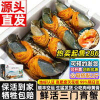 海仙津 三门鲜活青蟹礼盒鲜活发货大红膏母红膏蟹大螃蟹端午送礼 保活公母搭配 3-5只2斤（净重）