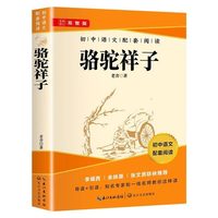 骆驼祥子和钢铁是怎样练成的海底两万里原著老舍七年级下册课外书