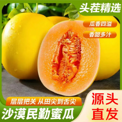 久雅优鲜 甘肃民勤蜜瓜  漠甜甜瓜 黄金蜜瓜 果农精选（2个装）