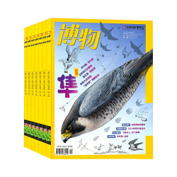 博物杂志2024年1-12月远古动物园增刊/怪怪宠物箱中国国家地理万物好奇号环球少年版科普过刊