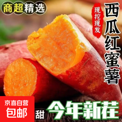 京喜 农家 现挖沙地西瓜红蜜薯 2斤装 含箱