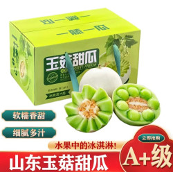 尹福记 山东 玉菇瓜 冰淇淋瓜 4.5斤装 2个左右