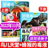 1-7月现货好奇号杂志2026/2025年1-12月送双语册子 中小学生儿童通识科学科普历史传奇