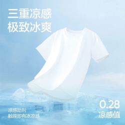 网易严选 新升级!三重凉感220g重磅凉感5A抗菌纯棉T恤