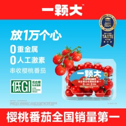 一颗大 】串收樱桃番茄小串新鲜自然熟蔬菜孕妇生吃水果小西红柿