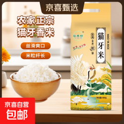 猫牙米 猫牙米500g 江西产地长粒香软大米