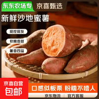 2026新鲜现挖西瓜红蜜薯红心蜜薯直播间源头直发 5斤中大果（单果3两起） 净重