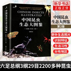 中国昆虫生态大图鉴第2版 昆虫动物世界 昆虫蝴蝶科普百科书 昆虫分类系统研究