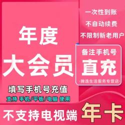 bilibili 哔哩哔哩 会员12个月 bilibili会员B站大VIP会员1年卡