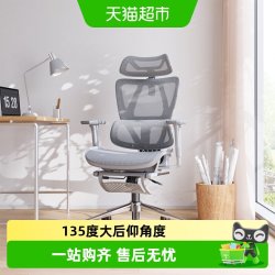 永艺 沃克pro 人体工学电脑椅 6向灵动扶手 新耀黑