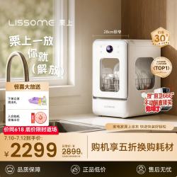 栗上 胶囊式洗碗机小型台式水槽自动免安装母婴除菌极窄R1 水箱版标配