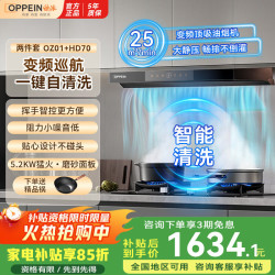 WZGL 抽油烟机大吸力静音一级能效燃气灶套装顶侧双吸自动清洗爆炒劲吸家用厨房电器 搭5.2KW猛火灶HD