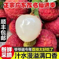 百亿补贴：顺丰 广东仙进奉荔枝 2/4斤
