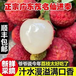 顺丰 广东仙进奉荔枝 2/4斤