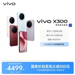 vivo X300 5G手机