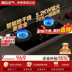 名气 天然气燃气灶70%高热效家用嵌入式5.2KW猛火大火力灶具煤气灶双灶台A6069B