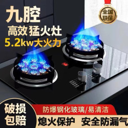 兴旺好太太 家用燃气灶煤气灶双灶两用九腔猛火燃气灶液化气天然气