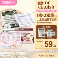 MR.WISH 素颜睫自然款狐系清冷感婴儿直心愿先生假睫毛