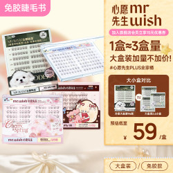 MR.WISH 素颜睫自然款狐系清冷感婴儿直心愿先生假睫毛
