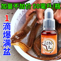钓鱼饵料黄鳝添加剂虾鳖泥鳅诱饵浓腥味垂钓快速