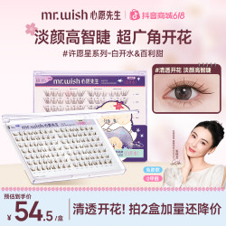 MR.WISH 淡妆白开水韩系嫁接根根分明免胶假睫毛