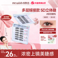 MR.WISH 轻羽嫁接款蓬松免胶睫毛层次上镜妆QJ