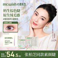 MR.WISH 短绒毛心愿先生假睫毛免胶款单簇新手QJ