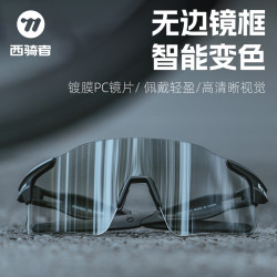 西骑者 Xiqizhe 西骑者 运动防雾变色骑车眼镜 跑步山地车护目镜装备