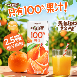一甸园 100%橙汁 200ml 礼盒装