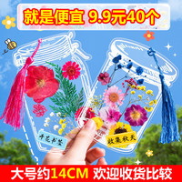 秋天干花书透明签手工DIY材料树叶标本压花书签制作