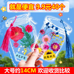 秋天干花书透明签手工DIY材料树叶标本压花书签制作