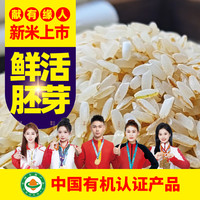 胚芽有机胚芽米保留胚芽俗称稻花香2号出生高贵新米黑土五常市