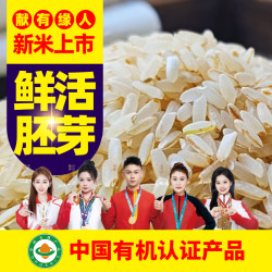 胚芽有机胚芽米保留胚芽俗称稻花香2号出生高贵新米黑土五常市