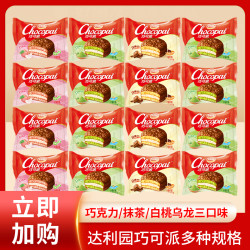 达利园 巧可派 巧克力味 24枚