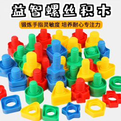 儿童拧螺丝玩具 钉大颗粒立体形状螺母配对早教动手动脑