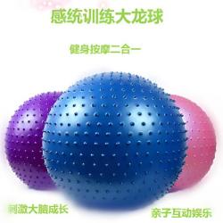 巨厚款 儿童大龙球 感统训练器材 专业防爆 宝宝幼儿按摩平衡球