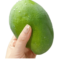 京喜加 凯特芒 带箱2.3kg 新鲜水果