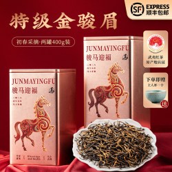 武夷山高山特级金骏眉茶叶礼盒187元400g