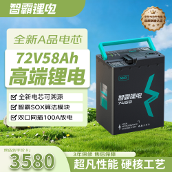智霸 72V58Ah 电动车锂电池