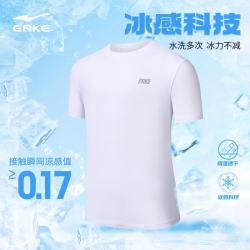 鸿星尔克 短袖男夏季圆领冰感透气吸汗排汗速干t恤运动上衣男跑步服打底衫 正白 190/104A/4XL