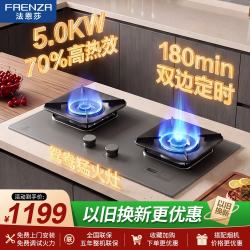 法恩莎 FX203 燃气灶 双灶台 液化气20Y 70%热效率