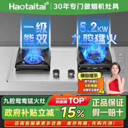 Haotaitai燃气灶双灶台嵌两用天然气5.2kW家用天然气大火力鸳鸯九腔猛火灶自动熄火不锈钢双眼灶JZT-ZR02-BJ