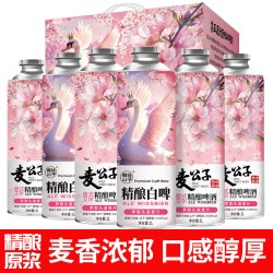 冰克斯 青岛精酿原浆   国产高度全麦啤酒整箱礼盒     6桶      芭蕾天鹅系列