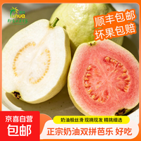 即食芭乐双拼白心红心软糯多汁低糖轻卡冰淇淋广东 即食双拼红白芭乐 净重3斤秒杀装